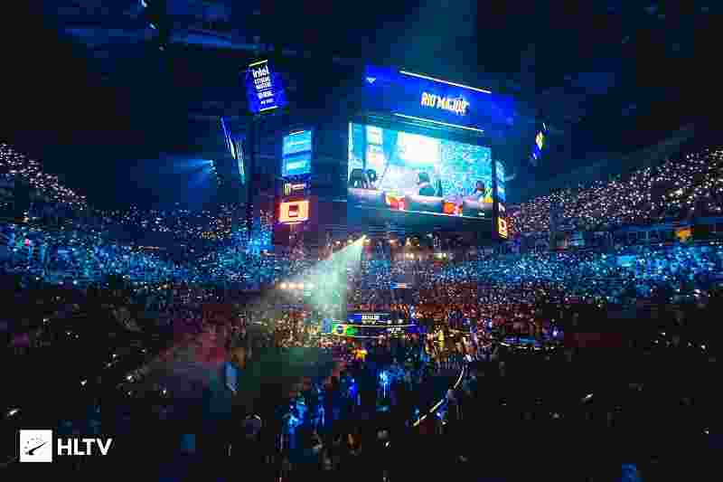 灰熊队的挑 灰熊队的挑